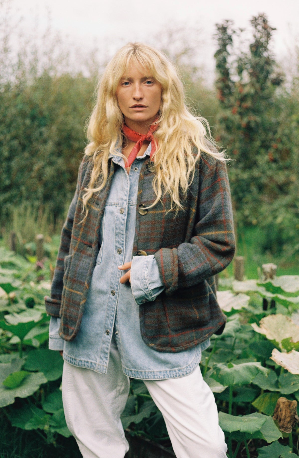Pia Jacket - Teasel