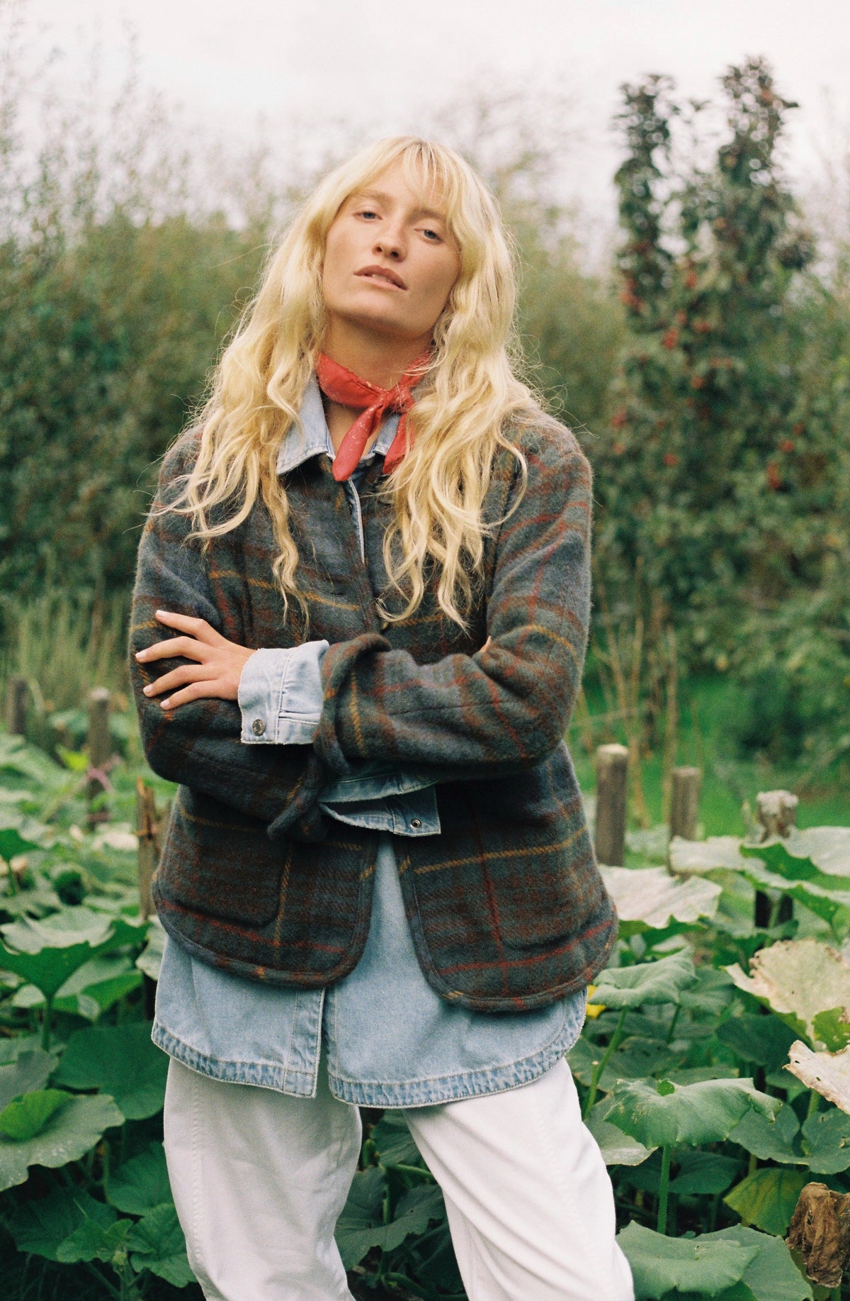 Pia Jacket - Teasel