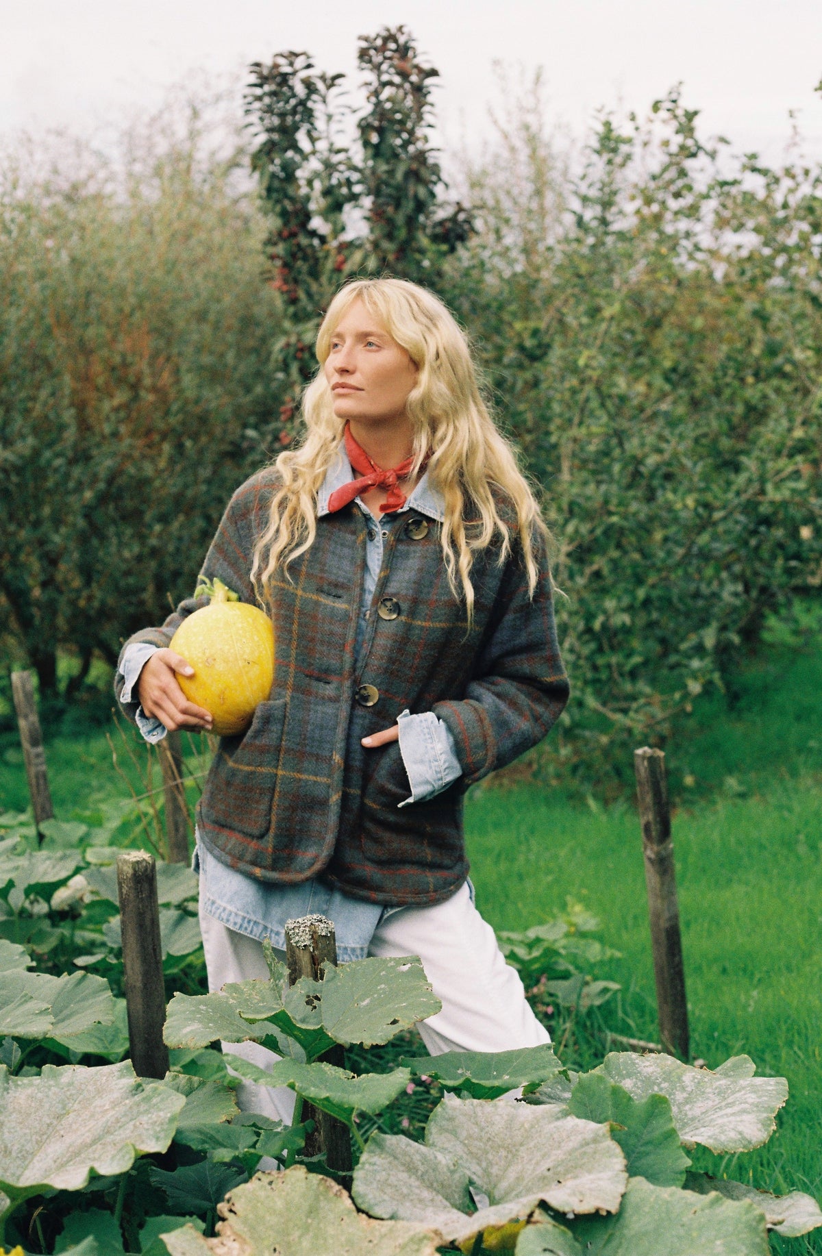 Pia Jacket - Teasel