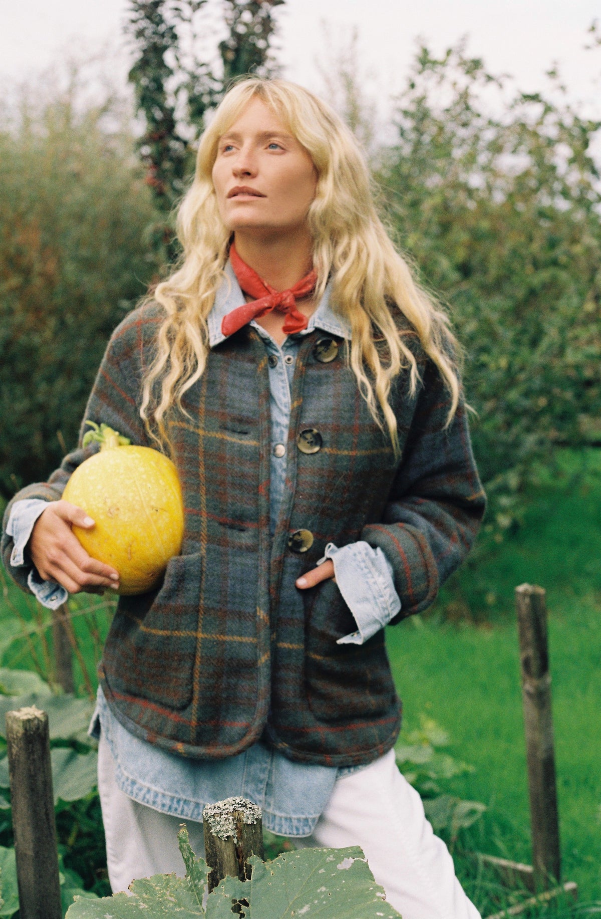 Pia Jacket - Teasel
